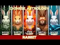wood fire earth metal and water Rabbit Chinese Astrology