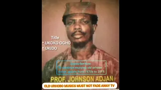 prof johnson adjan ukoko ogho u0026 ukido