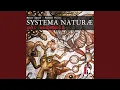 Download Lagu Systema naturæ: III. Regnum lapideum