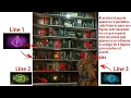 Borderlands 3 Revenge Of The Cartels II How To Solve The Puzzle