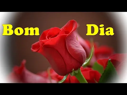 Download MP3 UMA ROSA COM MUITO CARINHO DESEJANDO UM BOM DIA