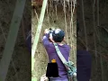 Download Lagu Menangkap, Mencari sarang burung di lubang tanah Ngebolang #3 #bolang #Shorts