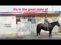 Uncertain, TX | Kacey Musgraves Feat. Willie Nelson | Official Lyrics