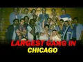 Maniac Latin Disciples - The Largest Gang in Chicago Part 1