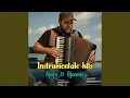 Download Lagu Naar de Zon (instr)