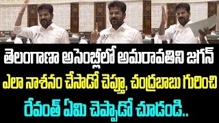 తెలంగాణా అసెంబ్లీలో అమరావతిని జగన్ ఎలా నాశనం చేసాడో చెప్తూ, చంద్రబాబు గురించి రేవంత్ ఏమి చెప్పాడో