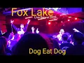 Lagu Fox Lake - Dog Eat Dog (Live 2025)