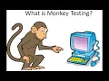 What is monkey Testing or adhoc testing