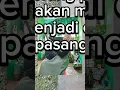 Download Lagu Yang ku pegang hanya kata#bukanjanjipalsu#bismillahi #shortvideo #subscribe #subscribe
