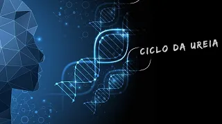 Ciclo da ureia