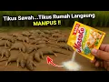 Download Lagu KENAPA TIDAK DARI DULU‼️Padahal banyak yang butuh cara ini