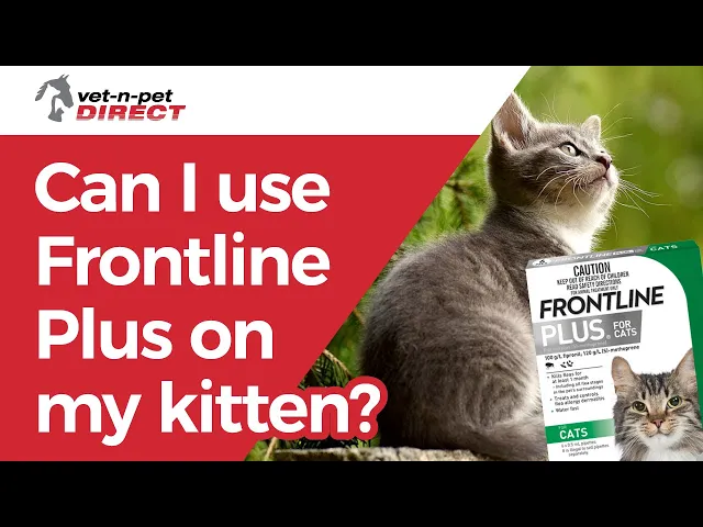 Frontline Plus for Cats