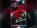 Good Morning Happy Sunday