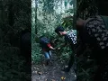 Download Lagu berjalan kembali