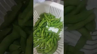 CUTE PEAS Nature Video Asmr Beans Cute Peas Youtube 
