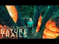 Woldumar Nature Trails Lansing Michigan