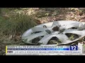 North Jackson resident concerned about conditions on Old Highway 49