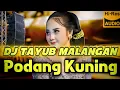 Lagu DJ TAYUB BASS HOREG MALANGAN | PODANG KUNING | DJ TAYUB MALANGAN DJ CAMPURSARI BASS GLERR