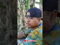 Download Lagu pentingnya bismillah || SARIMEN SENTOL