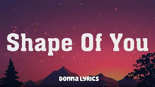 Download Shape of You - Ed Sheeran (Mix Lyric Video) / Charlie Puth, Shawn Mendes,... MP3