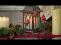 3-Piece Cardinals with Holly on Stands by Valerie on QVC