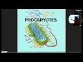 AP Bio Unit 02 Review Cell Structure Function