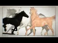 Lil Nas X, Billy Ray Cyrus, Diplo - Old Town Road (Diplo Remix) (Official Audio)