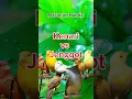 Download Lagu ‼️MASTERAN HANDAL KENARI VS CUCAK JENGGOT‼️