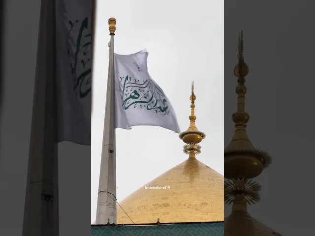 ⁣الزهراء عليها السلام انموذجاً للمرأة المسلمة  #فاطمة#فاطمةالزهراء #فاطمةالزهراءؐ #فاطمة_الزهراء