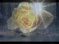 Sezen Aksu - Bir Zamanlar Deli Gönlüm