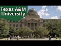 Explore Texas A M University Your Ultimate Guide to Texas A M