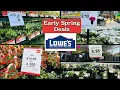 Lowe s Spring Garden SALE Perennials - Fern