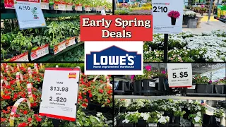 Lowe s Spring Garden SALE Perennials - Fern