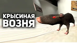 Лужагейт, жопокрады и другие скандалы, от которых я в шоке
