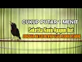 Download Lagu MASTERAN KONIN AGAR GACOR DAN BONGKAR ISIAN 100% AMPUH FULL TEMBAKAN MEWAH