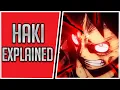 Haki Explained One Piece