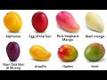Every Mango Explained