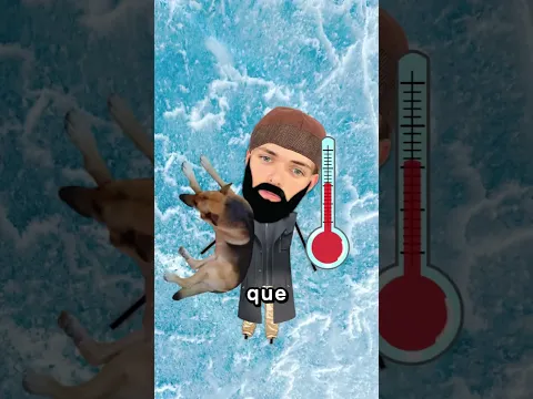 El Perro Estuvo A Su Lado 🐶