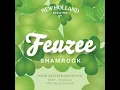 Beer Review New Holland Brewing Co - Feuzee Shamrock