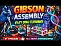 Gibson Assembly Tutorial Clone Any Gene Fast with NEB Assembly Tool
