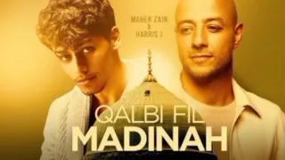 قلبي في المدينة بدون موسيقى Qalbi FIl Madina Vocals OnIy 