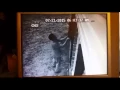 Muscle Shoals PD look for Christmas decor thief 12 18 15