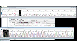 Editing bad sequences with mismatches in consensus sequence in Bio-Edit software