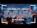 Download Lagu Conkarah - Banana  Ft. Shaggy  ( Dj Fle Remix )