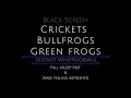 10 Hours - Crickets - Bullfrogs - Green Frogs - Whippoorwill - Nature Sounds - Creek - Pond - Stream