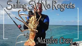 E40 – Catching a Massive Cray, Britomart and Walker Reefs