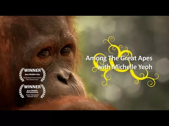 Among the Great Apes with Michelle Yeoh