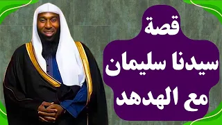 قصة سيدنا سليمان عليه السلام مع الهدهد من أعجب القصص الشيخ بدر المشاري 