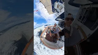 Getting pooped while taking Pac Cup finish photos#ourladydefiant #yachtracing #paccuprace