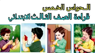 الحواس الخمس درس القراءة للصف الثالث الابتدائي صفحة ١٠٠  ١٠١ دندنها